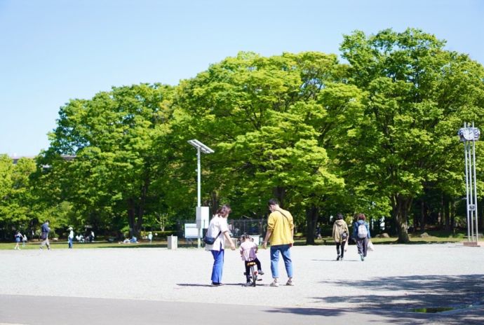 茅ヶ崎市中央公園(第一カッターきいろ公園)で子どもに自転車の乗り方を教える家族の図