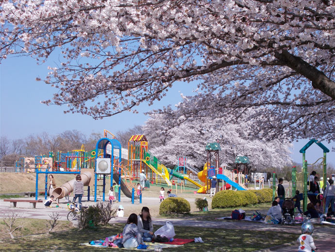 愛知県扶桑町の木曽川扶桑緑地公園