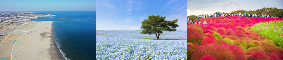 茨城県の特徴イメージ画像