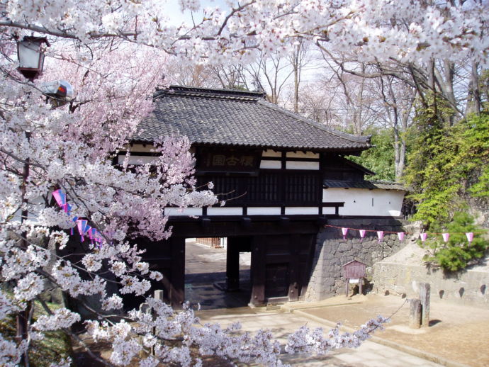 満開の桜に彩られた、小諸城址「懐古園」