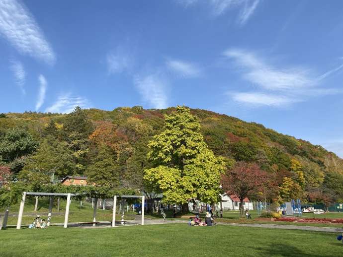 秋の栗山公園の様子