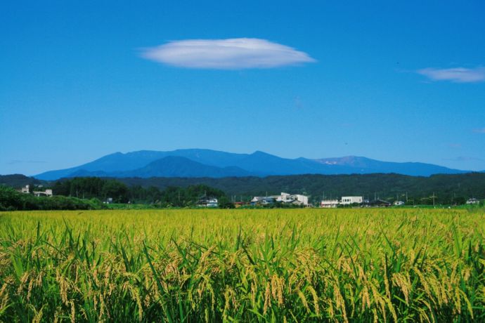 村田町の田園風景