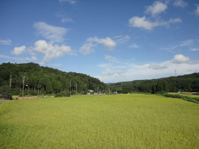 田園風景