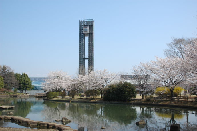 大泉町のいずみの杜
