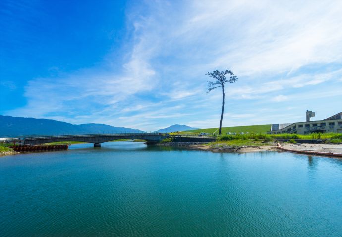 陸前高田市の奇跡の一本松