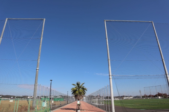 スポーツレクリエーション広場