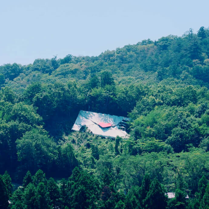 緑のラブレター