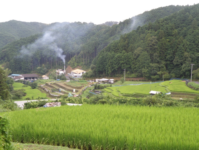 須崎市の自然環境