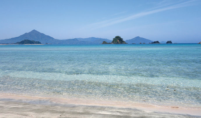 海の波打ち際