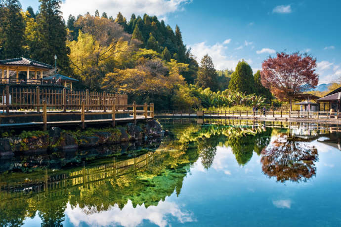 丸池湧水にうつる周辺の景色