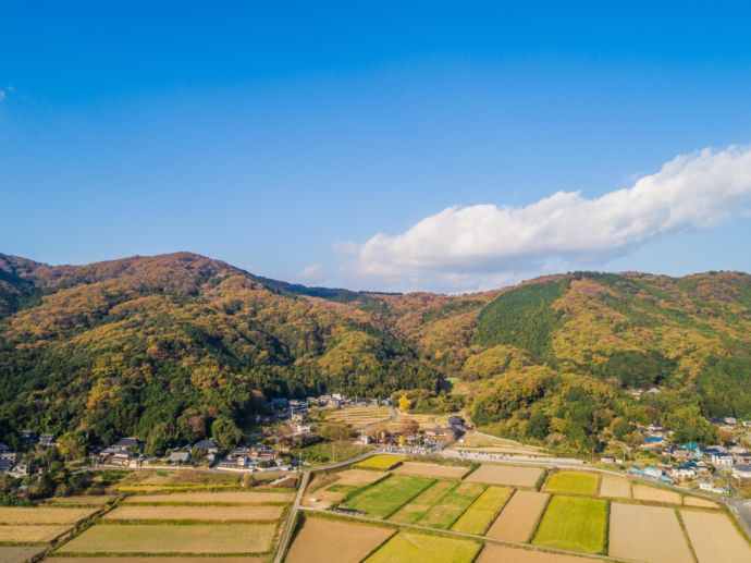 土浦市内の里山の風景