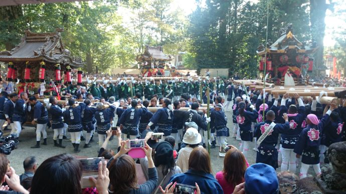 勇壮な「うたの秋祭り~神輿渡御祭~」の一幕