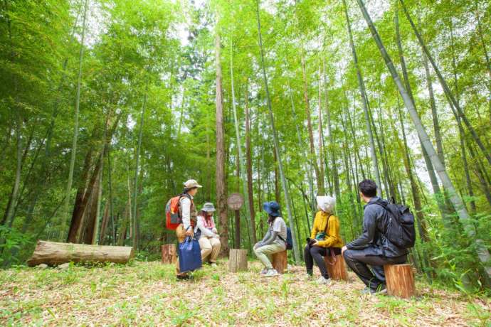 森林セラピー基地にたたずむ人々