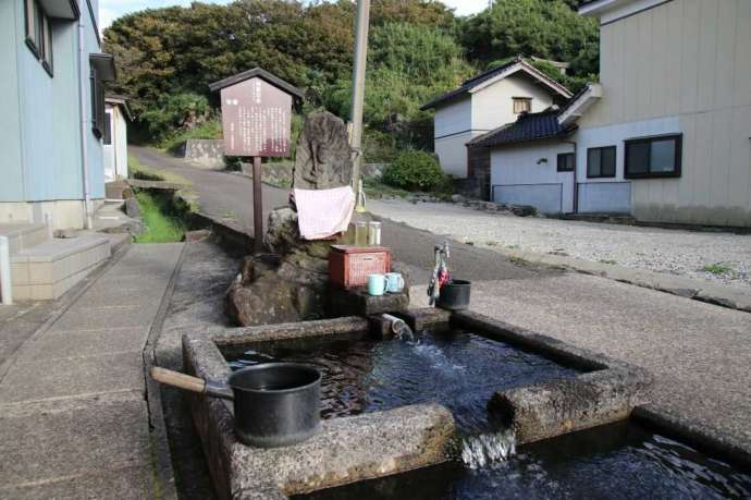 湧水ポイントの一つ神泉の水